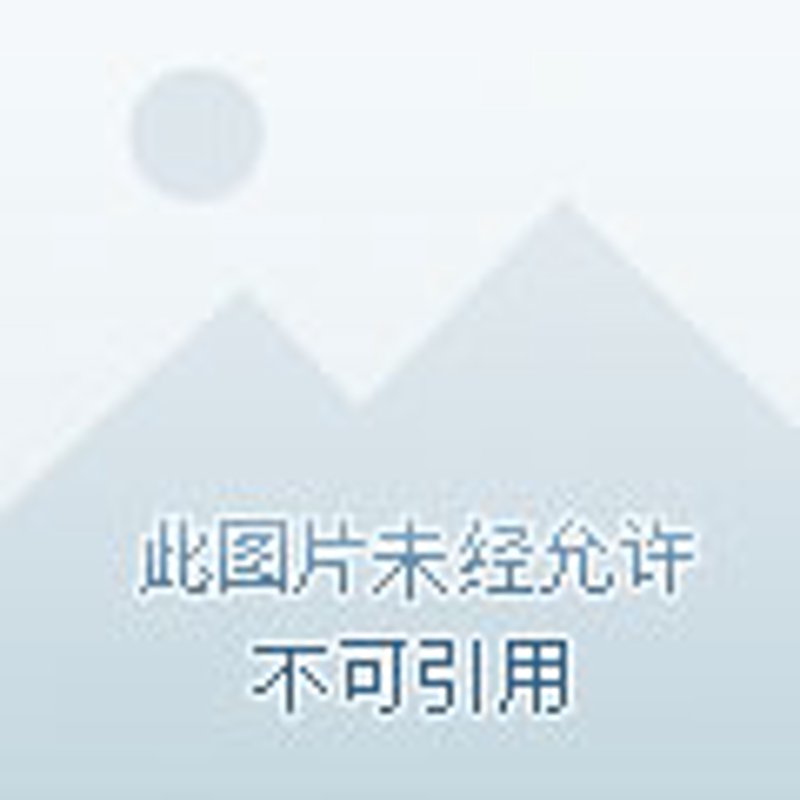 职工活动组织支出：如何合理分配各项费用